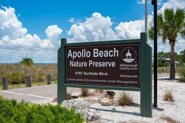 Tree service in Apollo Beach, Florida