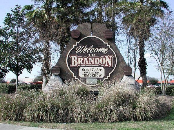 Tree service in Brandon, Florida