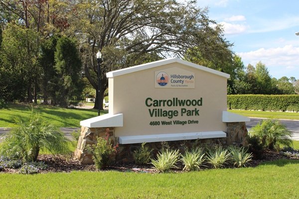 Tree service in Carrollwood, Florida