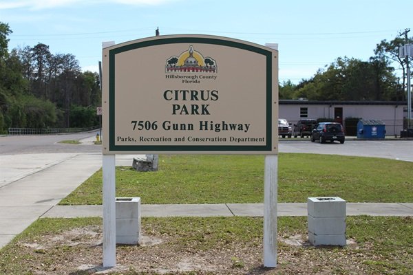 Tree service in Citrus Park, Florida