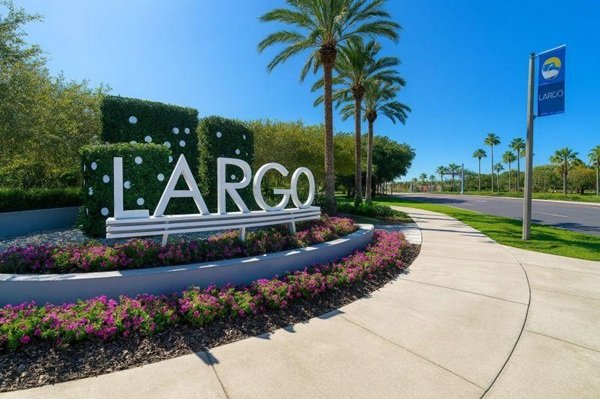 Tree service in Largo, Florida
