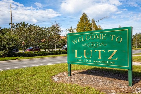 Tree service in Lutz, Florida