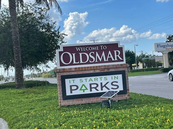 Tree service in Oldsmar, Florida