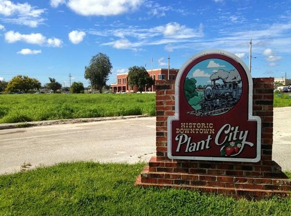 Tree service in Plant City, Florida