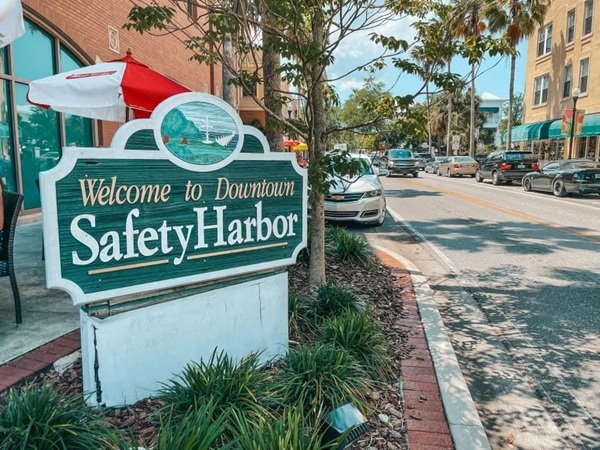 Tree service in Safety Harbor, Florida