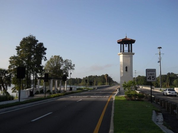 Tree service in Temple Terrace, Florida