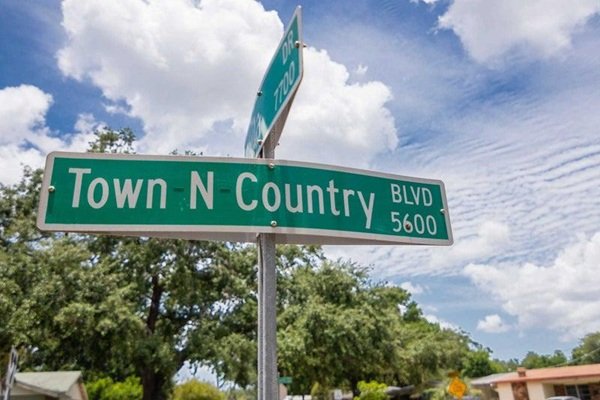 Tree service in Town 'N' Country, Florida