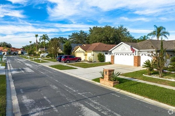 Tree service in Valrico, Florida
